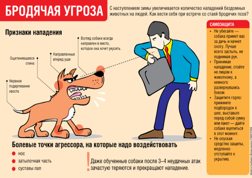 бродячая угроза.png